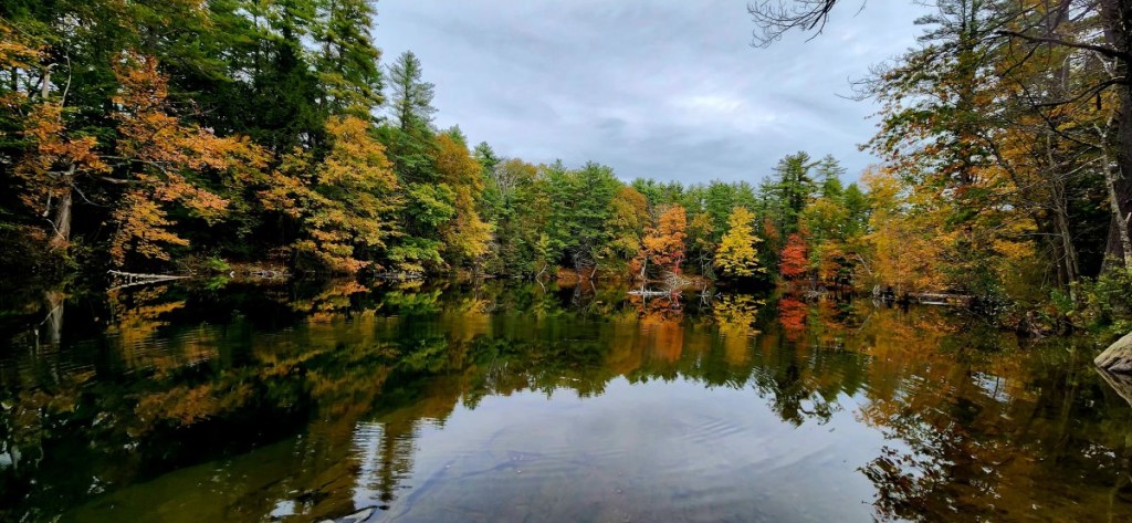 Fall foliage in Maine